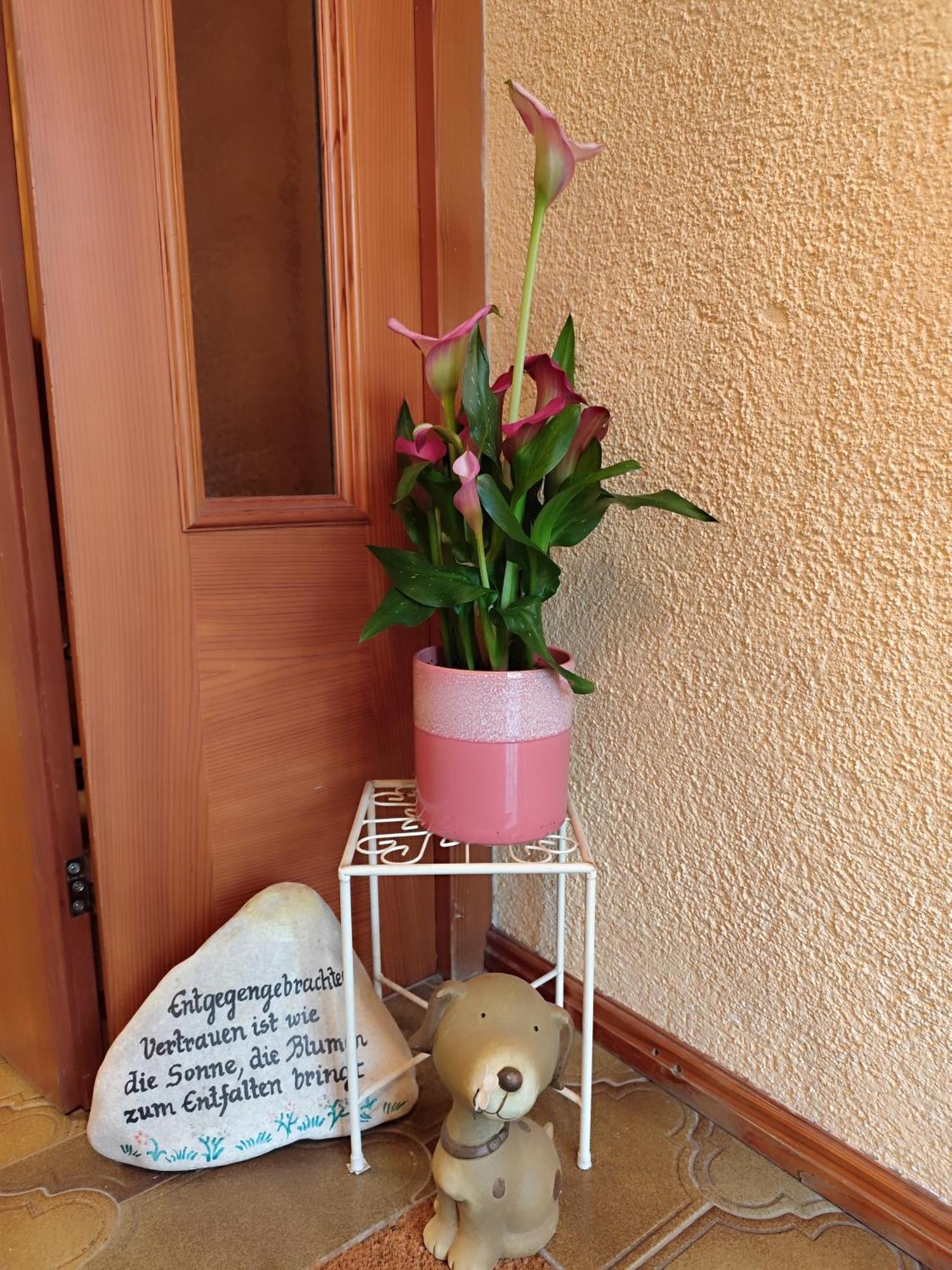 Privatzimmer Pendl Abtenau Exterior foto